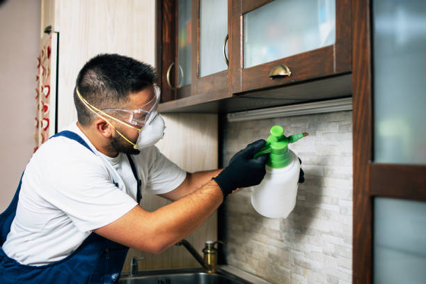 Best Bed Bug Extermination  in Marina, CA