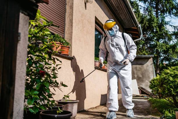 Best Pest Control Near Me  in Marina, CA