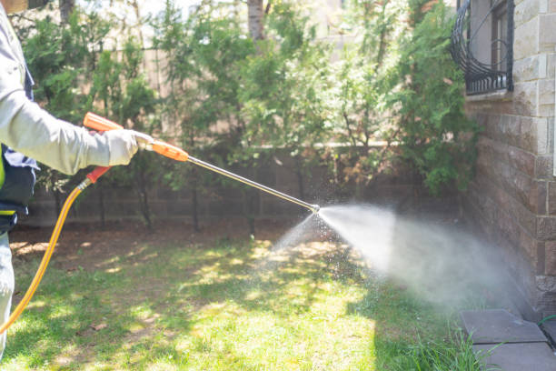Best Residential Pest Control  in Marina, CA