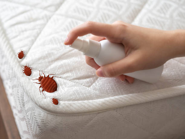 Best Affordable Pest Control Services  in Marina, CA