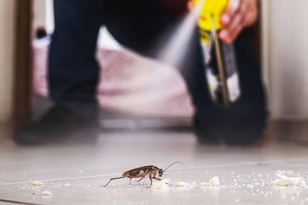 Best Pest Inspection Near Me  in Marina, CA
